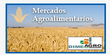 Mercados Agroalimentarios